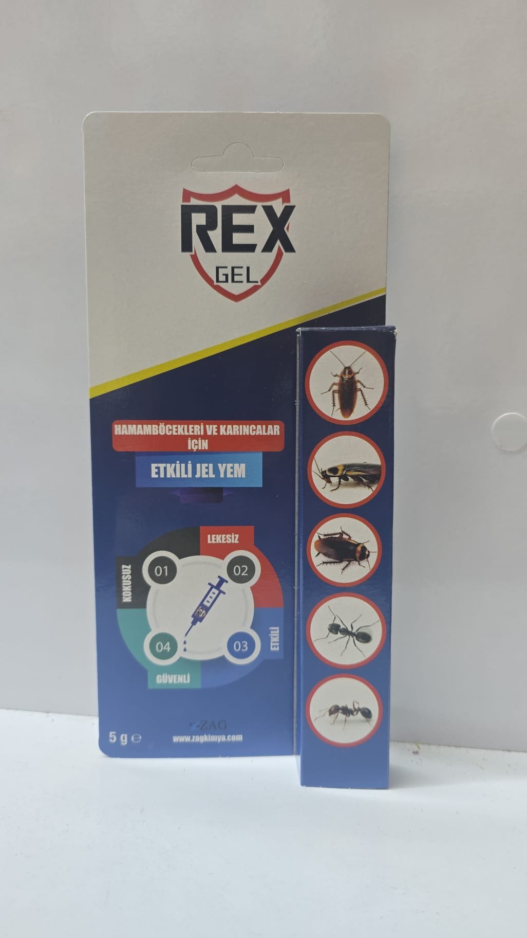 (Rex)
