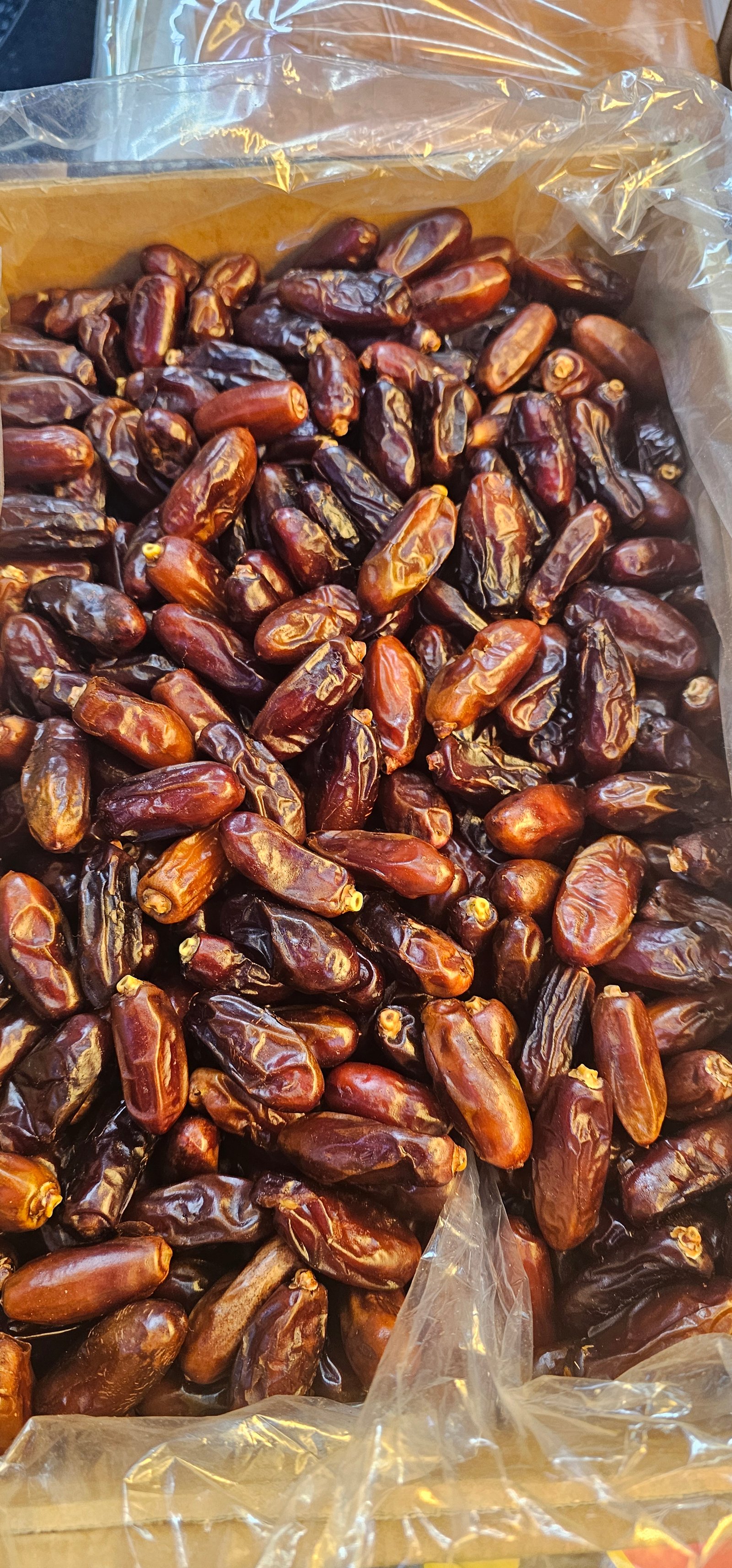 تمر لويال