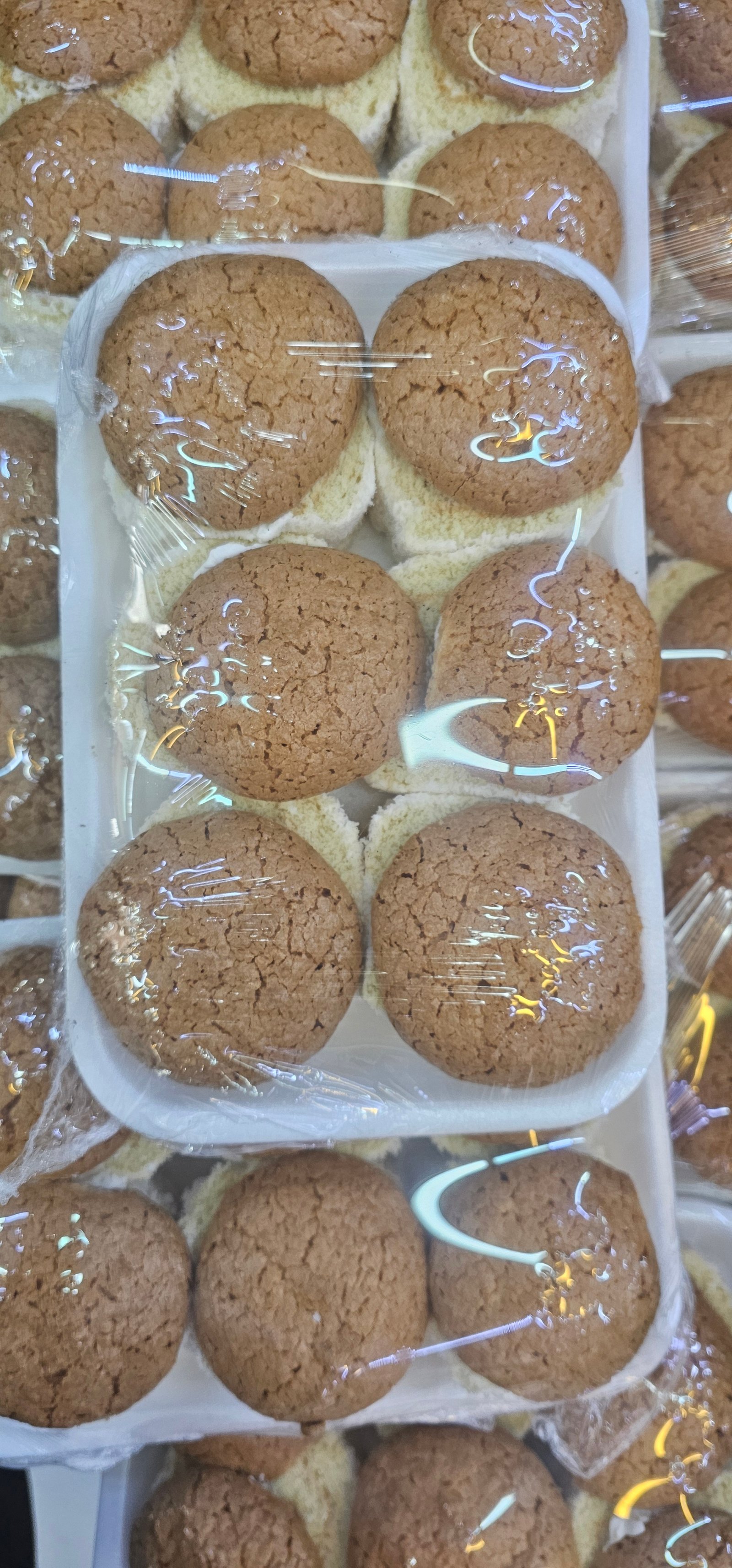 كاتو بالجوز الهند